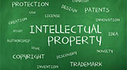 Russia intellectual property rights investigator